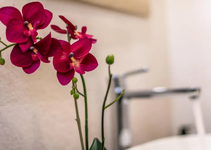 4 Star - Self Check-in בית הארחה בולוניה