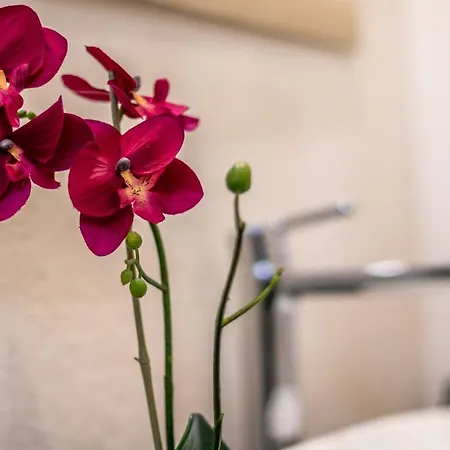 4 Star - Self Check-in Guest house Bologna